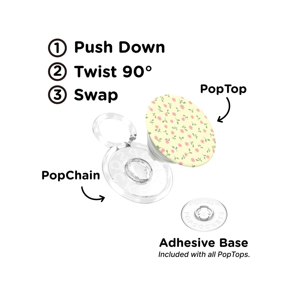 Dainty Prairie — PopTop - US 45450
