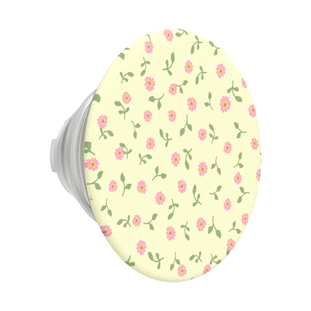 Dainty Prairie — PopTop - US 18917