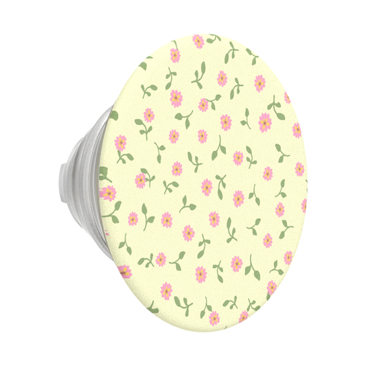 Dainty Prairie — PopTop - US 45450