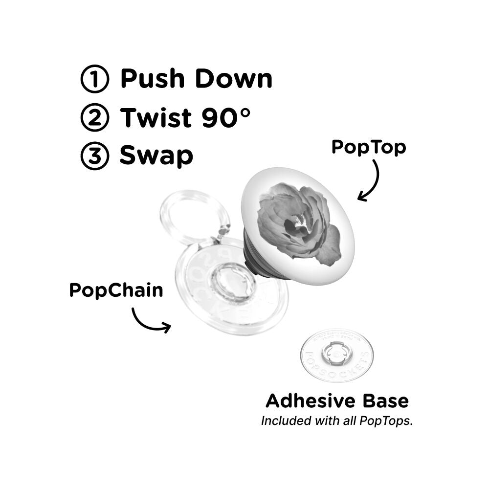 Dark Reverie — PopTop - US 41671