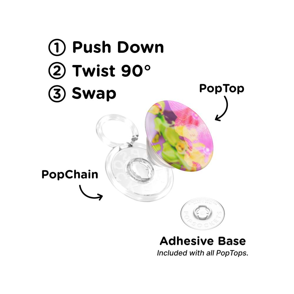 Collage Fleur — PopTop - US 32580