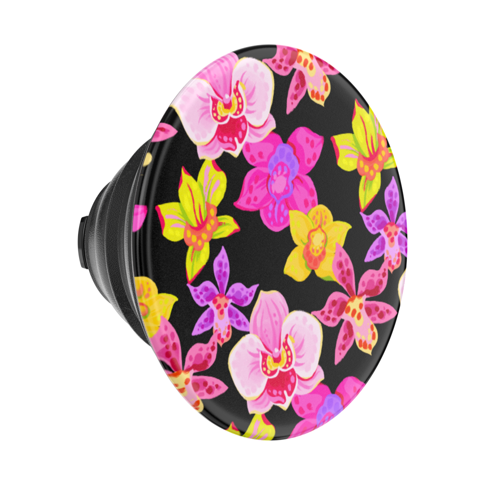 Haute House — PopTop - US 00439