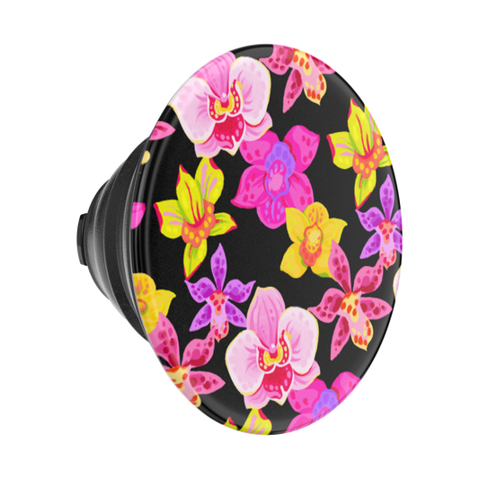 Haute House — PopTop - US 00439