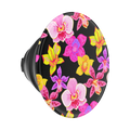 Haute House — PopTop - US 82849