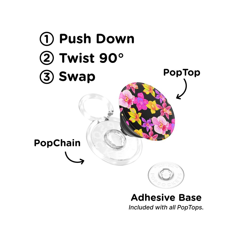 Haute House — PopTop - US 00439