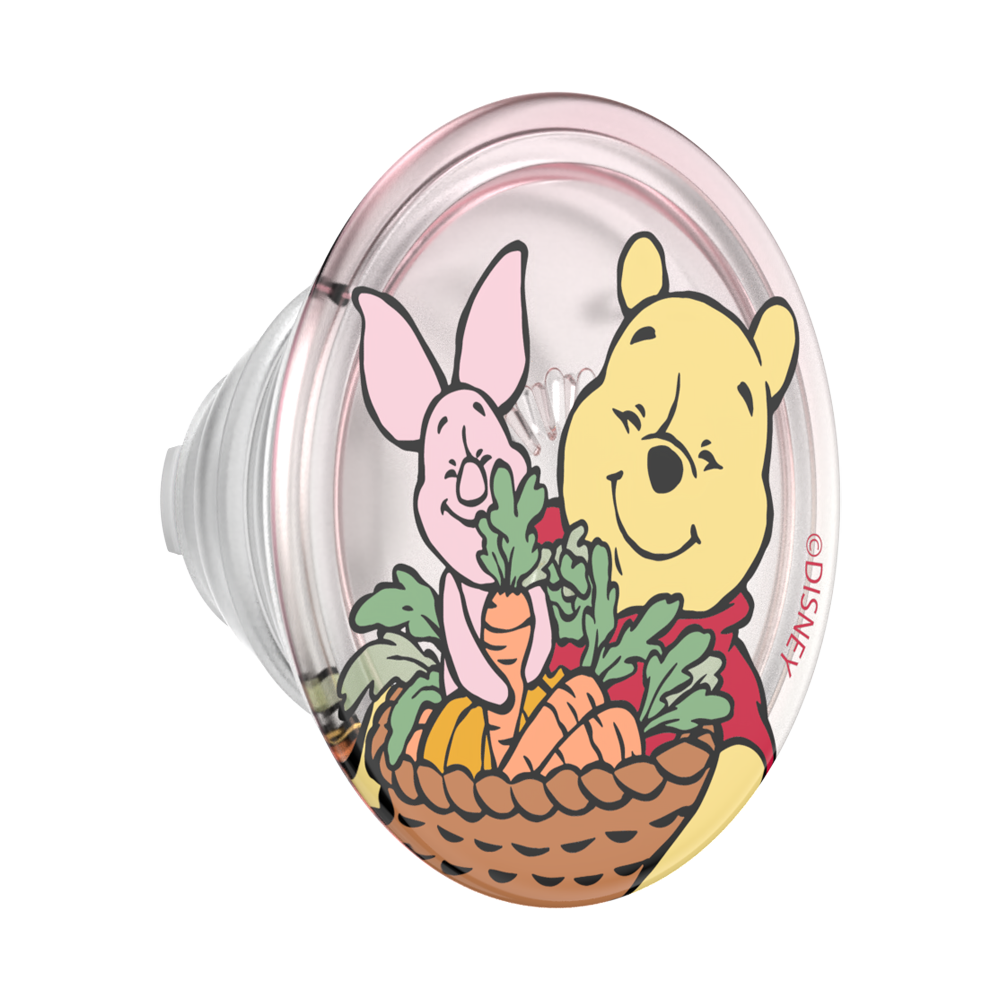 Harvest Friends — MagSafe PopGrip - US 95228