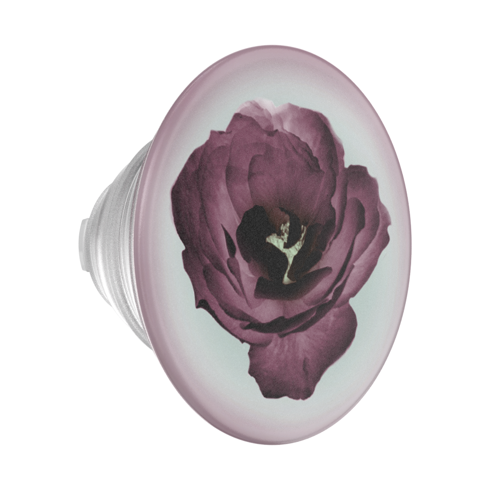 Mauve Reverie — PopTop - US 83504