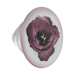 Mauve Reverie — PopTop - US 83504