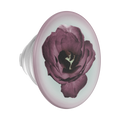 Mauve Reverie — PopTop - US 89826
