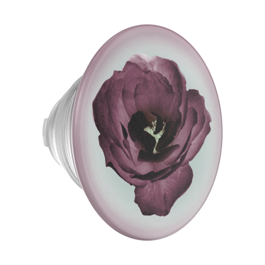 Mauve Reverie — PopTop - US 89826