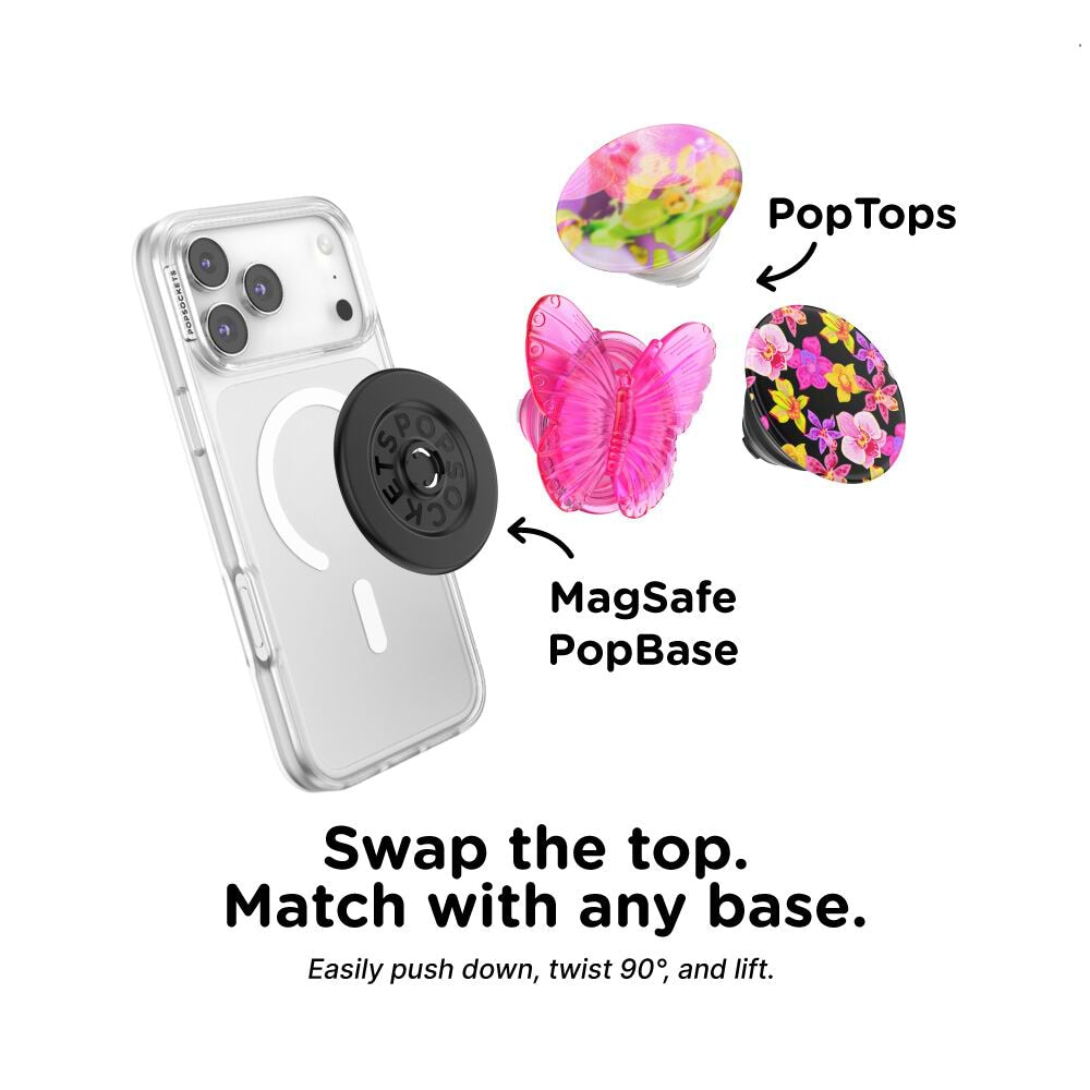 Molded Butterfly Magenta — PopTop - US 47447