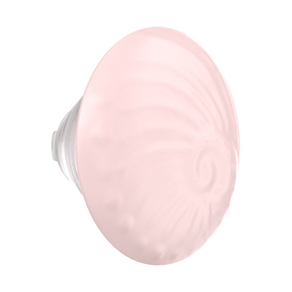 PopOut Fossil — PopTop - US 90157