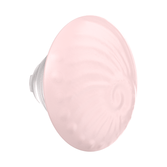 PopOut Fossil — PopTop - US 90157