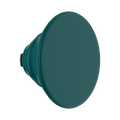 Fresh Pine — PopTop - US 75647