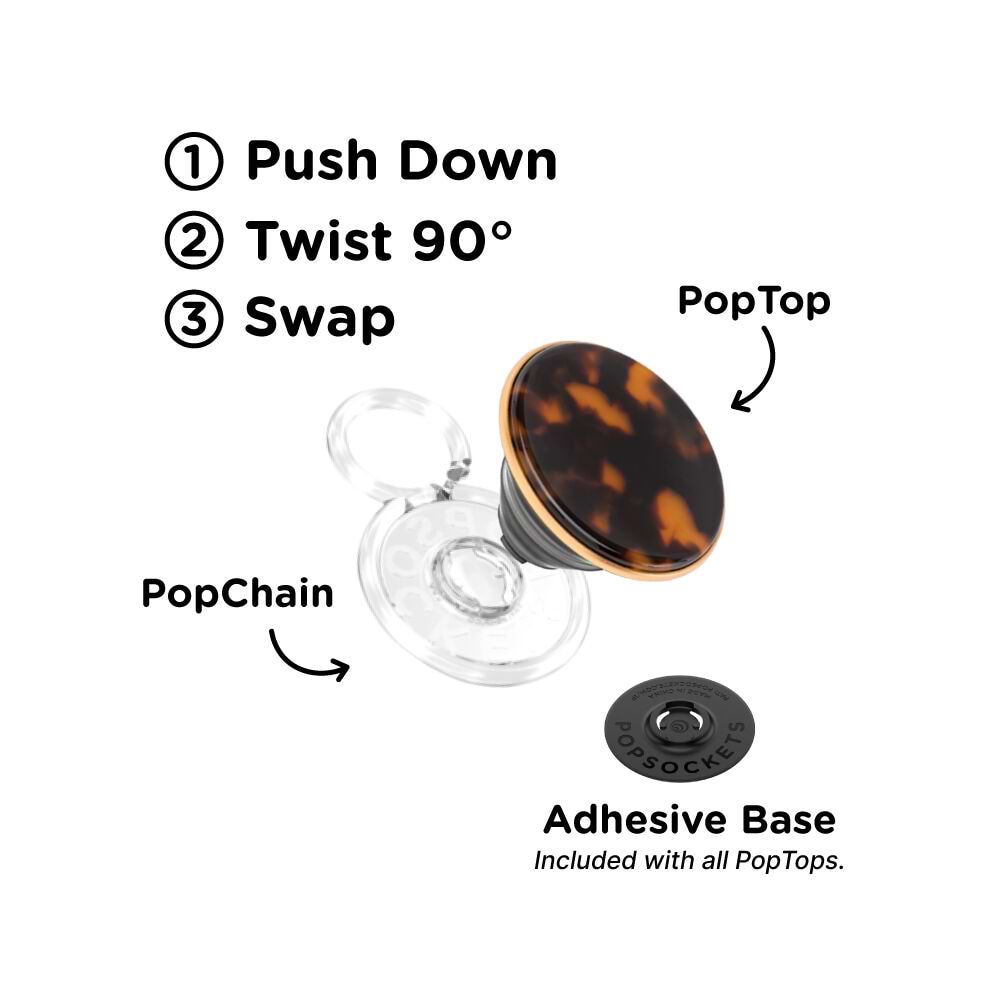 Tortoise — PopTop - US 27566