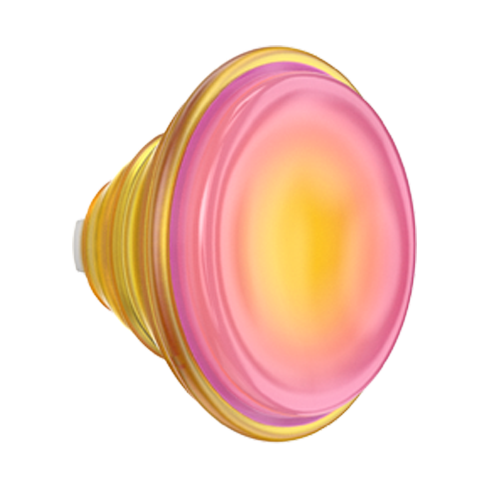 Jelly Sunni B — PopTop - US 77372