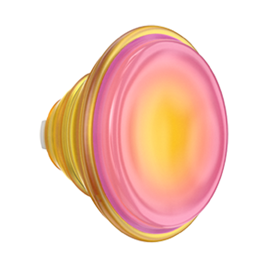 Jelly Sunni B — PopTop - US 14829