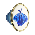 Enamel Gossamer — PopTop - US 53702
