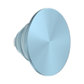 Aluminum Blue Sigh — PopTop - US 76370