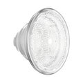 Doily Life — PopTop - US 16774