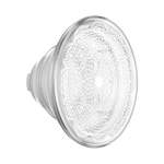 Doily Life — PopTop - US 16774