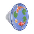 Koi Pond — PopTop - US 10074