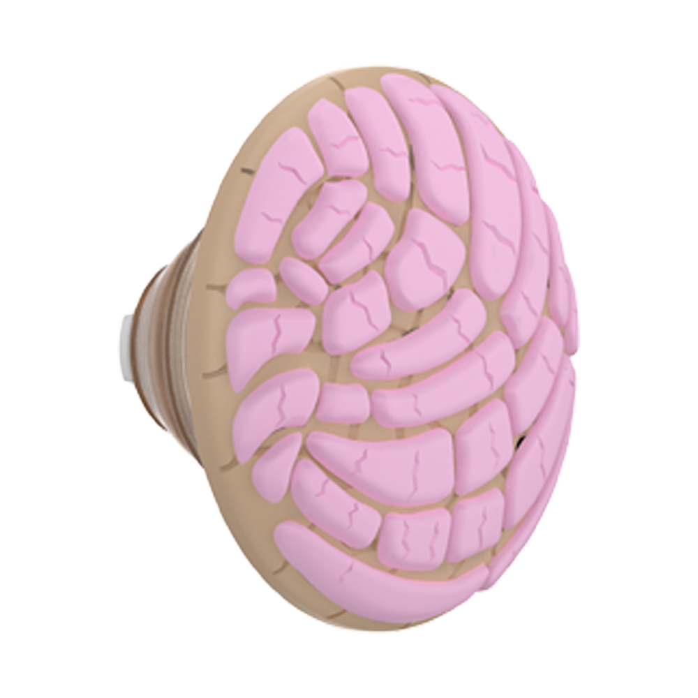PopOut Concha — PopTop - US 90189