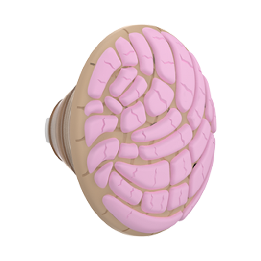 PopOut Concha — PopTop - US 15356