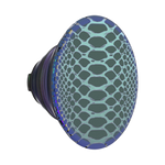 Scales — PopTop - US 99592