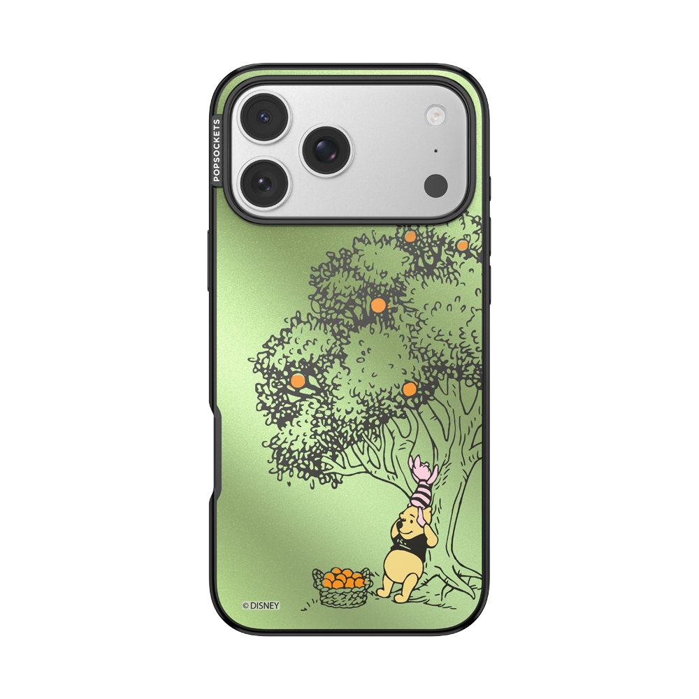 100 Acre Wood — iPhone 17 Pro Max MagSafe Case - US 81503