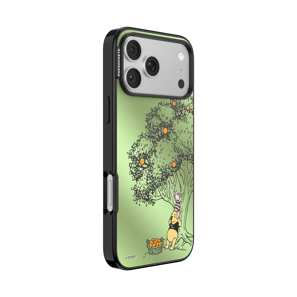 100 Acre Wood — iPhone 17 Pro Max MagSafe Case - US 15909