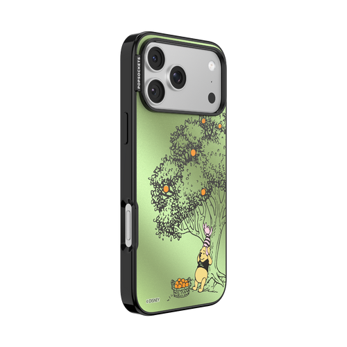 100 Acre Wood — iPhone 17 Pro Max MagSafe Case - US 15909