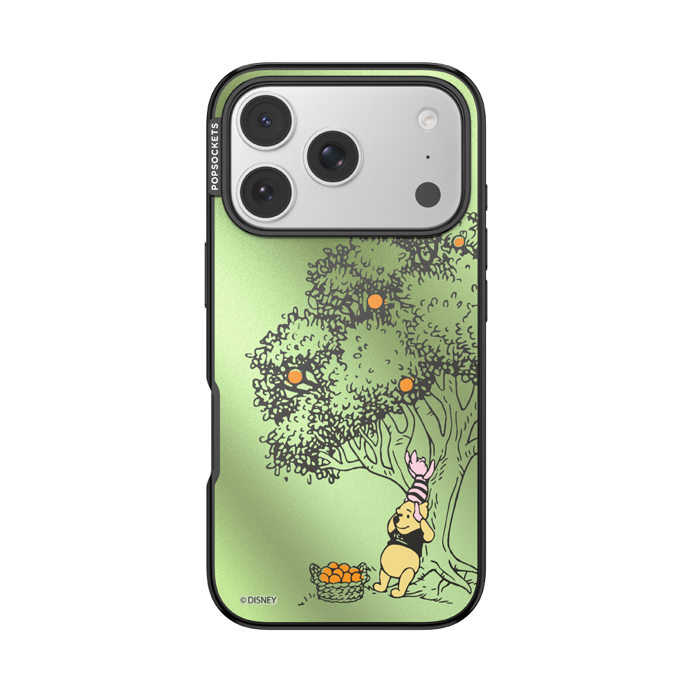 100 Acre Wood — iPhone 17 Pro MagSafe Case - US 39746