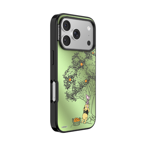 100 Acre Wood — iPhone 17 Pro MagSafe Case - US 39746