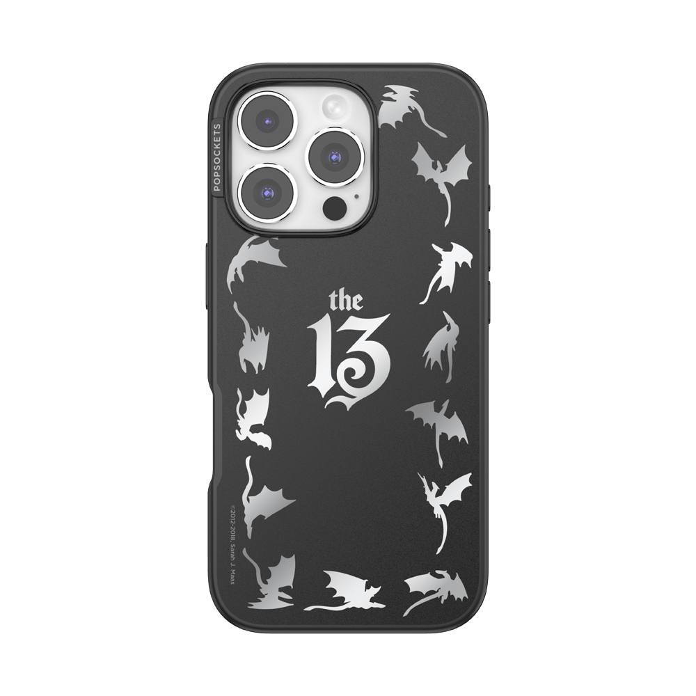 Mirror The 13 — iPhone 16 Pro MagSafe Case - US 15244