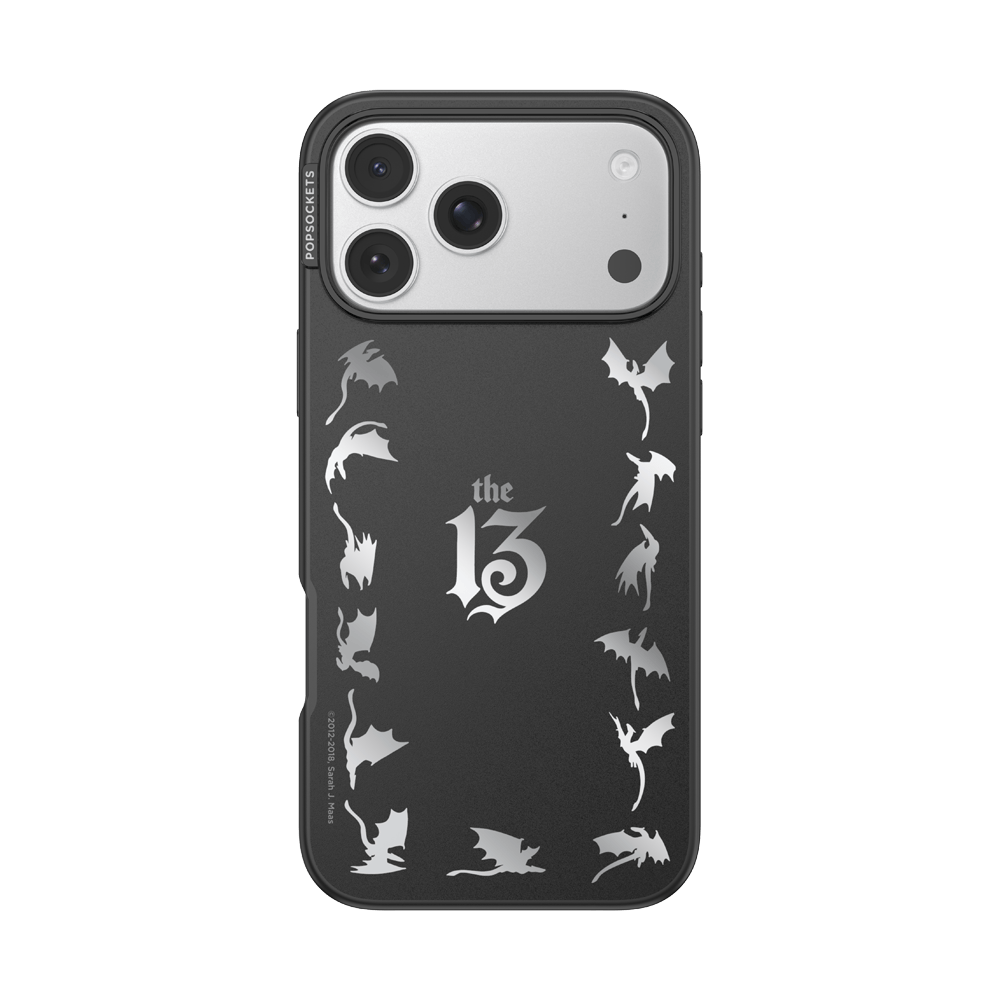 Mirror The 13 — iPhone 17 Pro Max MagSafe Case - US 29508