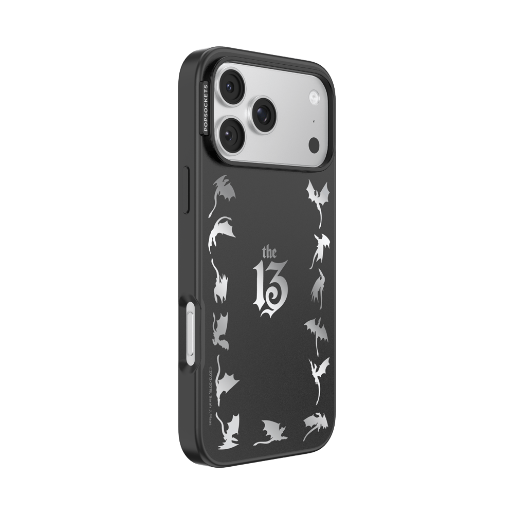 Mirror The 13 — iPhone 17 Pro Max MagSafe Case - US 79113