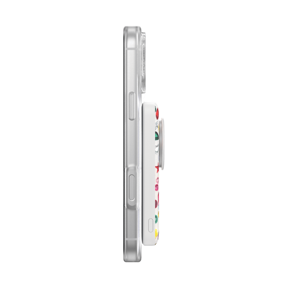 Desert Treasure — MagSafe PowerPack - US 70147